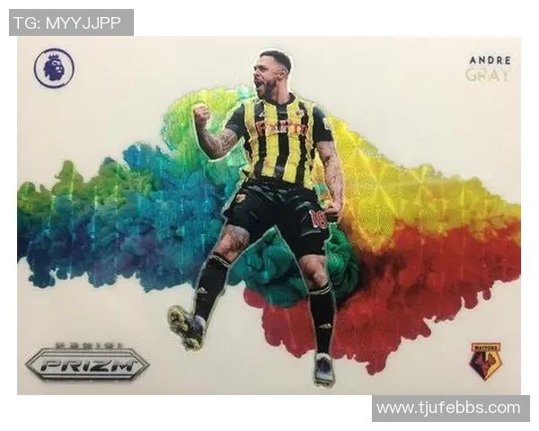 帕尼尼球星卡在英超足球收藏市场中的价值评估与投资潜力分析 帕尼尼球星卡在英超足球收藏市场中的价值评估与投资潜力分析